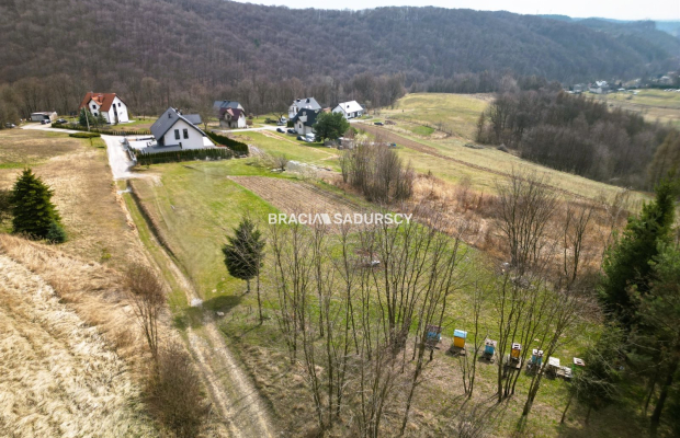 Malownicza działka Jerzmanowice 29 ar