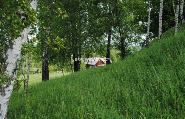  Gospodarstwo około 1,5 ha w Łazanach gm.Biskupice