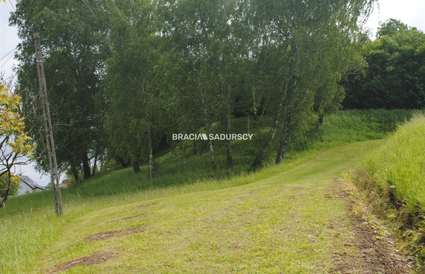  Gospodarstwo około 1,5 ha w Łazanach gm.Biskupice