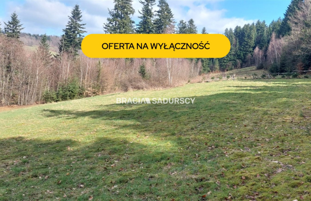 Działka rolna z możliwością zmiany na budowlaną