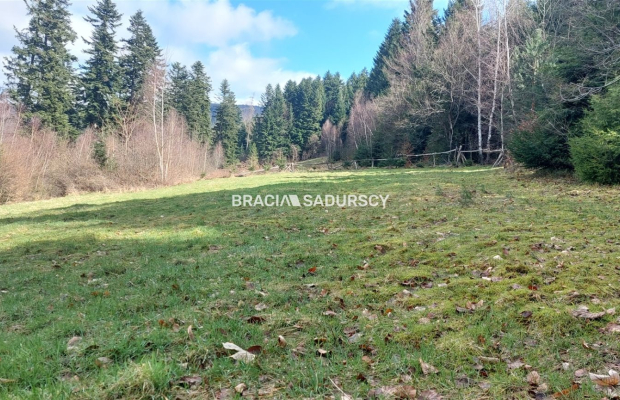 Działka rolna z możliwością zmiany na budowlaną