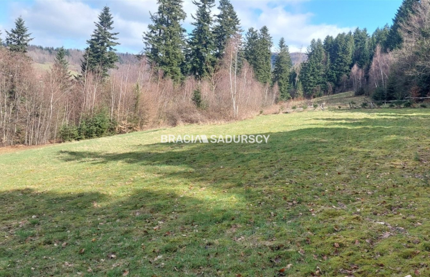 Działka rolna z możliwością zmiany na budowlaną