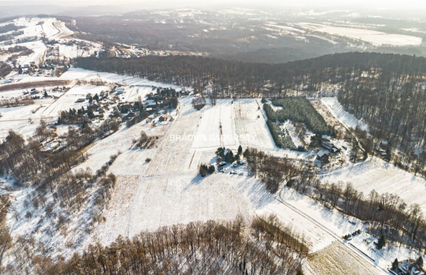 Płaska działka 2,21ha | Inwestycja | Natura