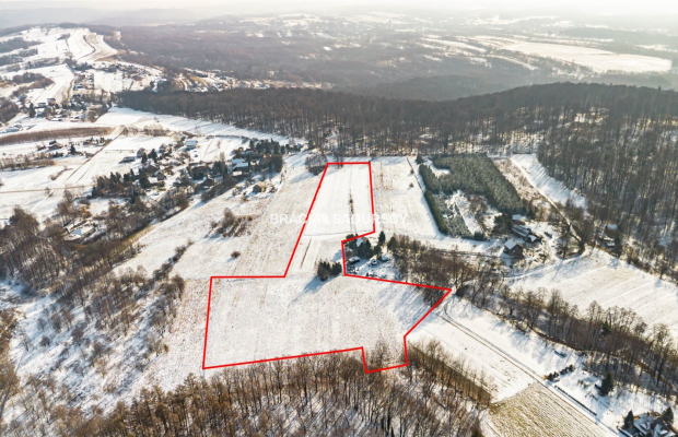 Płaska działka 2,21ha | Inwestycja | Natura