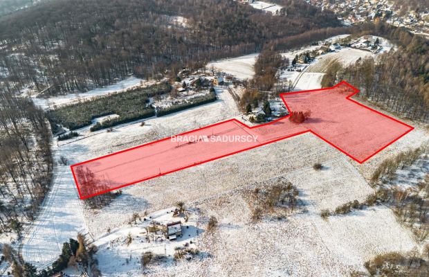 Płaska działka 2,21ha | Inwestycja | Natura