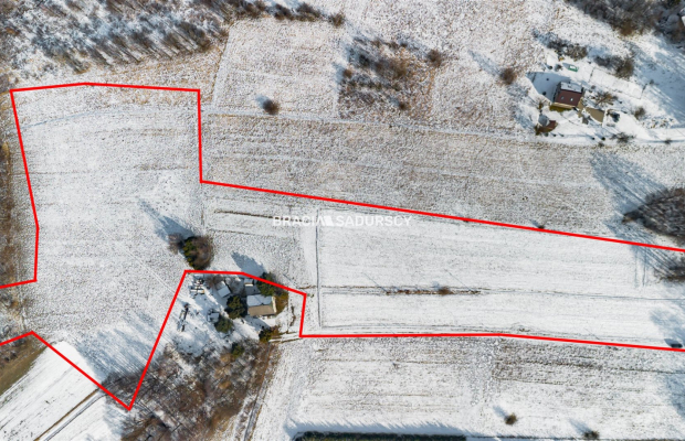 Płaska działka 2,21ha | Inwestycja | Natura