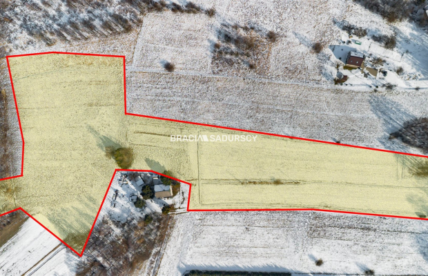 Płaska działka 2,21ha | Inwestycja | Natura