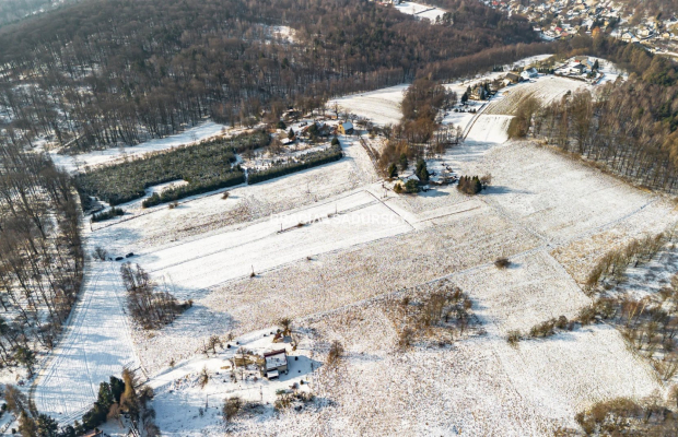 Płaska działka 2,21ha | Inwestycja | Natura