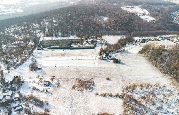 Płaska działka 2,21ha | Inwestycja | Natura