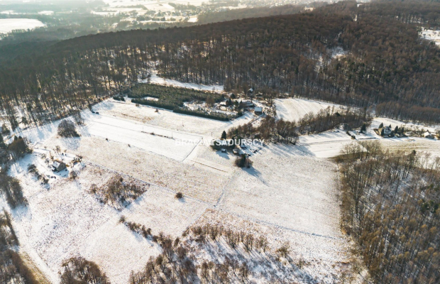 Płaska działka 2,21ha | Inwestycja | Natura