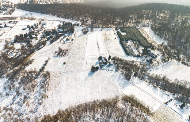 Płaska działka 2,21ha | Inwestycja | Natura