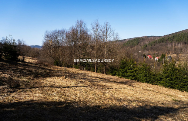 Widokowa działka w sasiędztwie lasu / MPZP / 20 ar