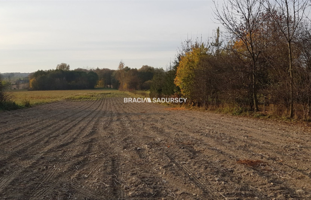  płaska działka o powierzchni 85 arów, w tym 15 a 