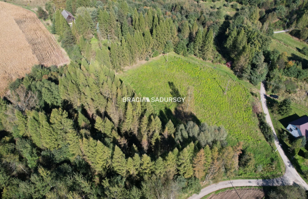 Działka budowlana 8900 m2 Poręba Żegoty