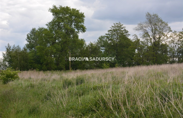 Działka w całości budowlana o pow.: 1464 m2