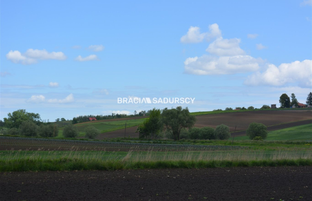 Działka w całości budowlana o pow.: 1313 m2