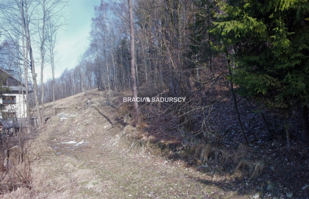 Działka widokowa o pow. 3 ha 