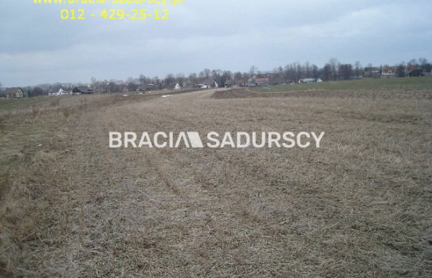 działka rolno-budowlana o powierzchni 89 arów