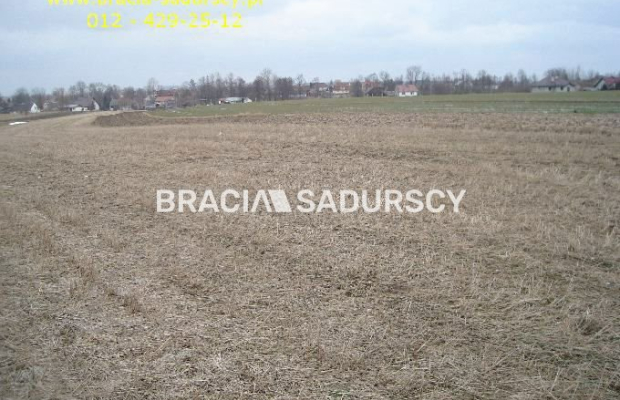 działka rolno-budowlana o powierzchni 89 arów