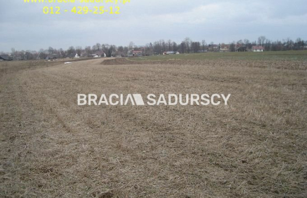 działka rolno-budowlana o powierzchni 89 arów