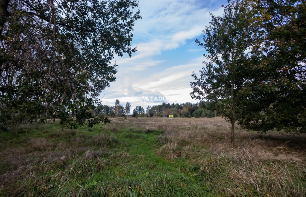 działkę budowlaną w Bratucicach