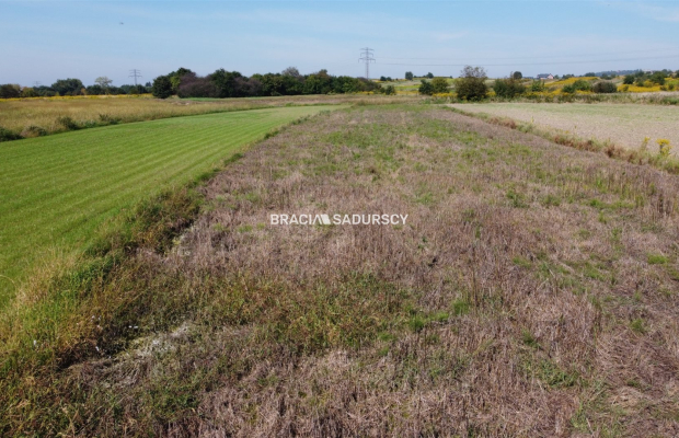 Słoneczna działka zagrodowa w Modlniczce