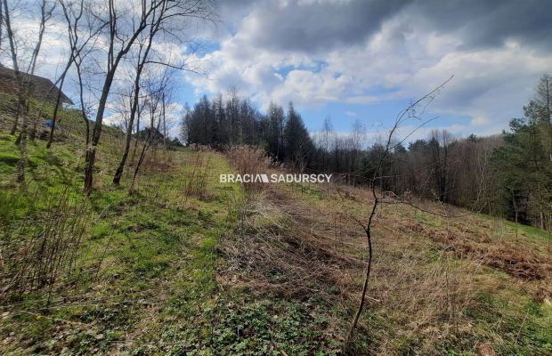Działka budowlana w otoczeniu lasu 