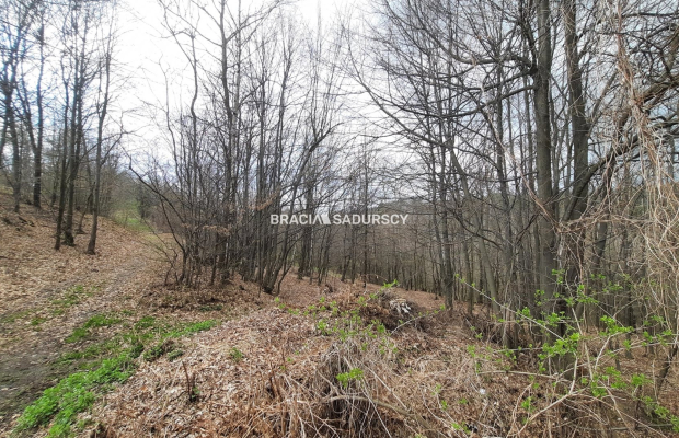 Działka budowlana w otoczeniu lasu 