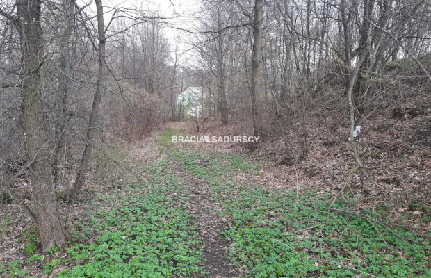Działka budowlana w otoczeniu lasu 