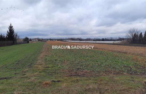 Działka budowlana-inwestycyjna 