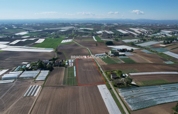 Działka zagrodowa w Szarbii gm. Koniusza