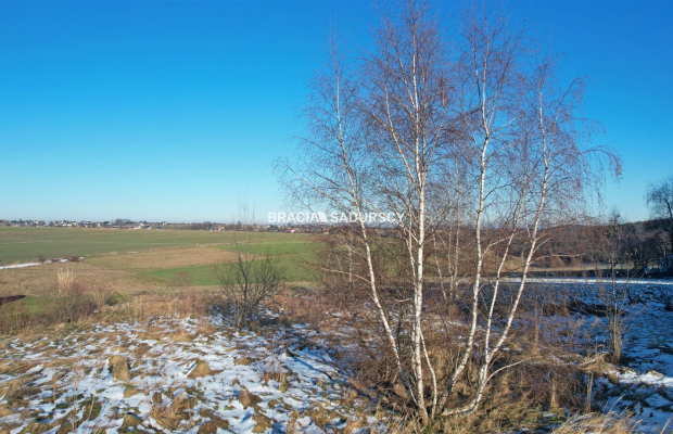 Działka budowlana w Sąspowie 