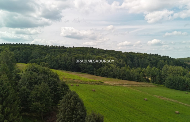 Działka budowlana o powierzchni 30 arów w Brodach