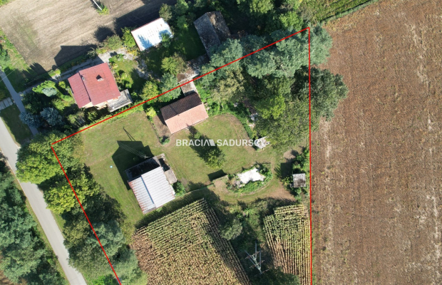 Sieradzice gmina Kazimierza Wielka