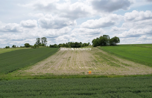 Działka rolna o pow. 3 ha - Prandocin-Iły   
 
Oferujemy na sprzedaż działkę rolną o pow. 3 ha położoną w Prandocinie-Iły k/Sło