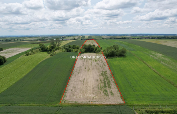 Działka rolna o pow. 3 ha - Prandocin-Iły   
 
Oferujemy na sprzedaż działkę rolną o pow. 3 ha położoną w Prandocinie-Iły k/Sło