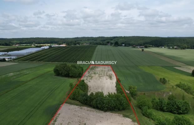 Działka rolna o pow. 3 ha - Prandocin-Iły   
 
Oferujemy na sprzedaż działkę rolną o pow. 3 ha położoną w Prandocinie-Iły k/Sło