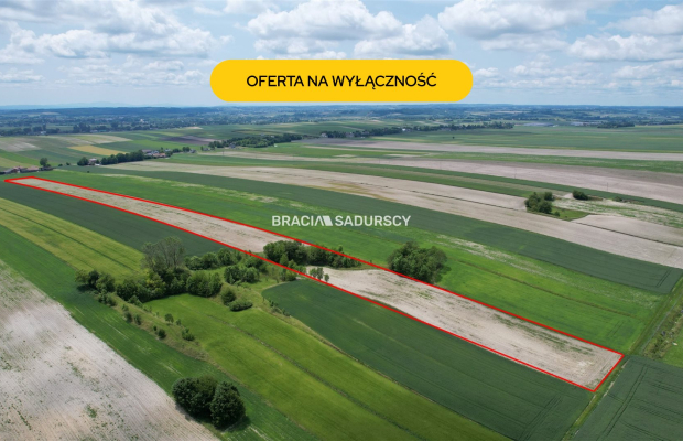 Działka rolna o pow. 3 ha - Prandocin-Iły   
 
Oferujemy na sprzedaż działkę rolną o pow. 3 ha położoną w Prandocinie-Iły k/Sło