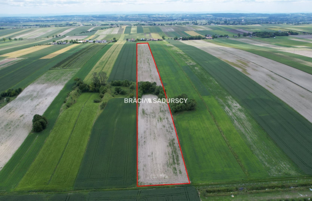 Działka rolna o pow. 3 ha - Prandocin-Iły   
 
Oferujemy na sprzedaż działkę rolną o pow. 3 ha położoną w Prandocinie-Iły k/Sło