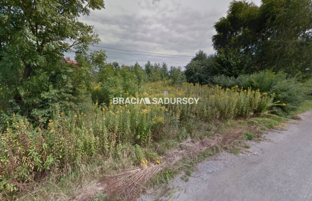 Działka w Kryspinowie, Liszki