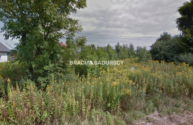 Działka w Kryspinowie, Liszki