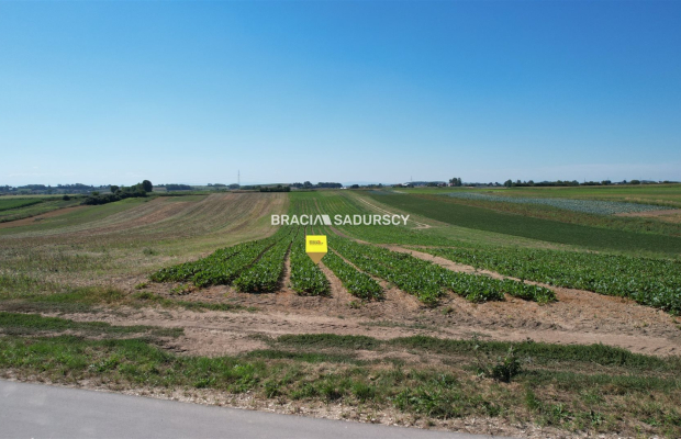 Działki rolne Proszowice