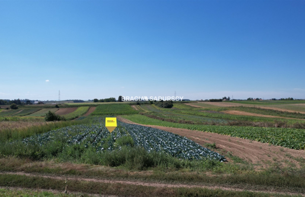 Działki rolne Proszowice