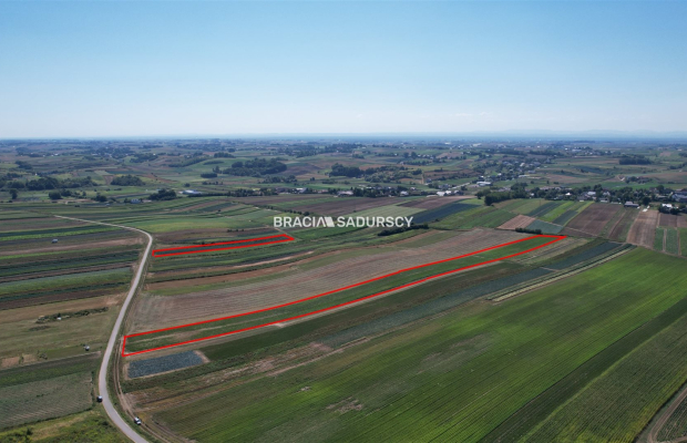 Działki rolne Proszowice