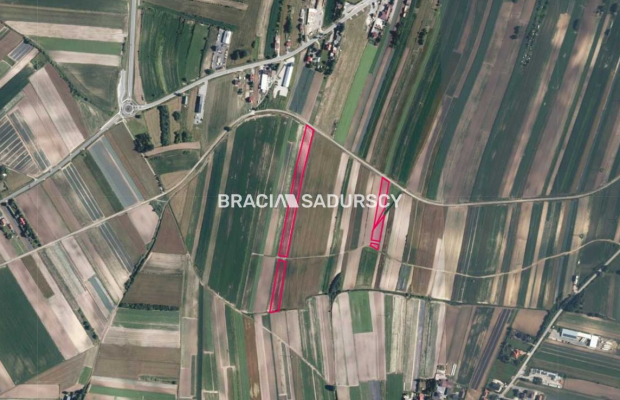 Działki rolne Proszowice