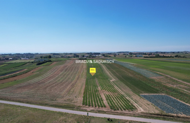 Działki rolne Proszowice