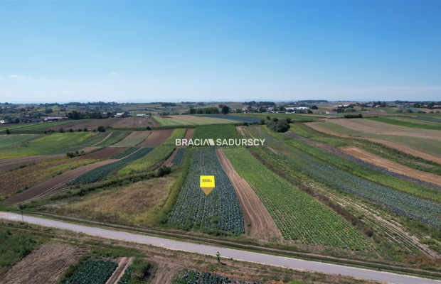 Działki rolne Proszowice