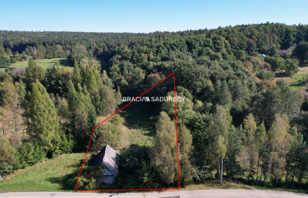 Poręba Żegoty, gmina Alwernia. 