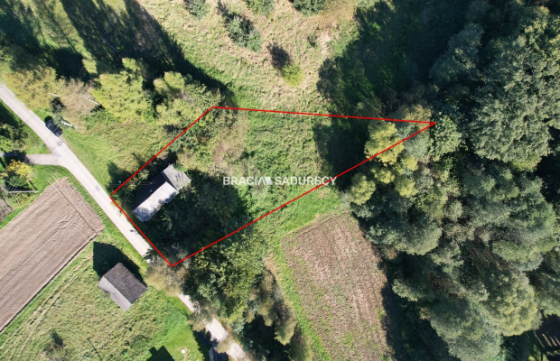 Poręba Żegoty, gmina Alwernia. 