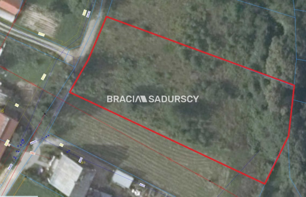 Wieliczka (gw), Jankówka